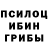 Галлюциногенные грибы GOLDEN TEACHER Forcat Oborot