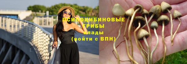 прущий лед Абдулино